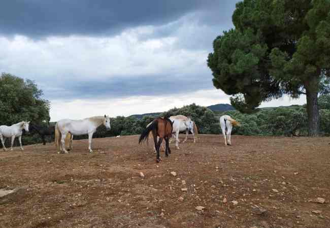 Cartel BiossFera Terra